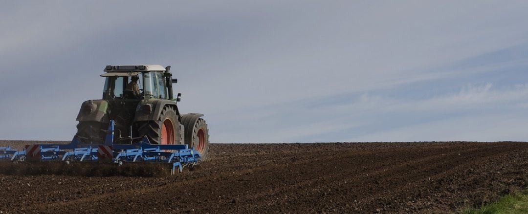 “Hay Campo para las TICs”