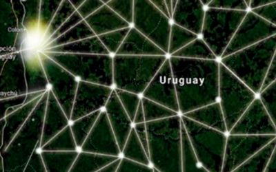 Empresas uruguayas empiezan a animarse con el blockchain